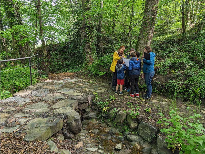 Découvrir les secrets du Conservatoire National Botanique du Massif Central en Auvergne