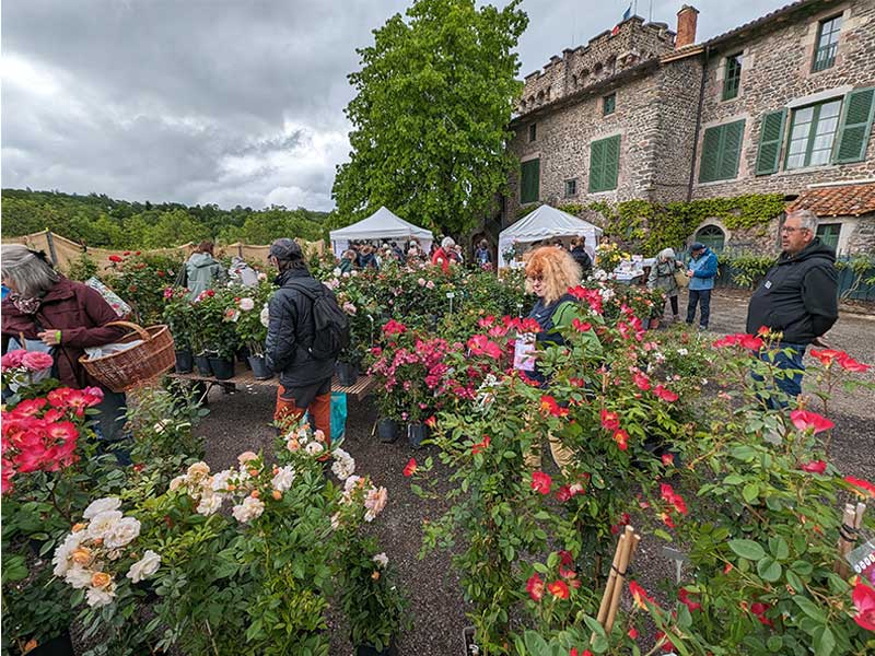 Flâner au milieu des fleurs à la Fête des Plantes de Chavaniac-Lafayette en Haute-Loire