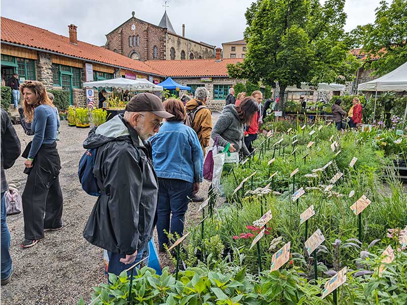 Flâner au milieu des fleurs à la Fête des Plantes de Chavaniac-Lafayette en Auvergne