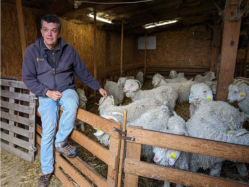 Didier Marnhier, éleveur de chèvres angoras à Tiranges en Haute-Loire, Auvergne