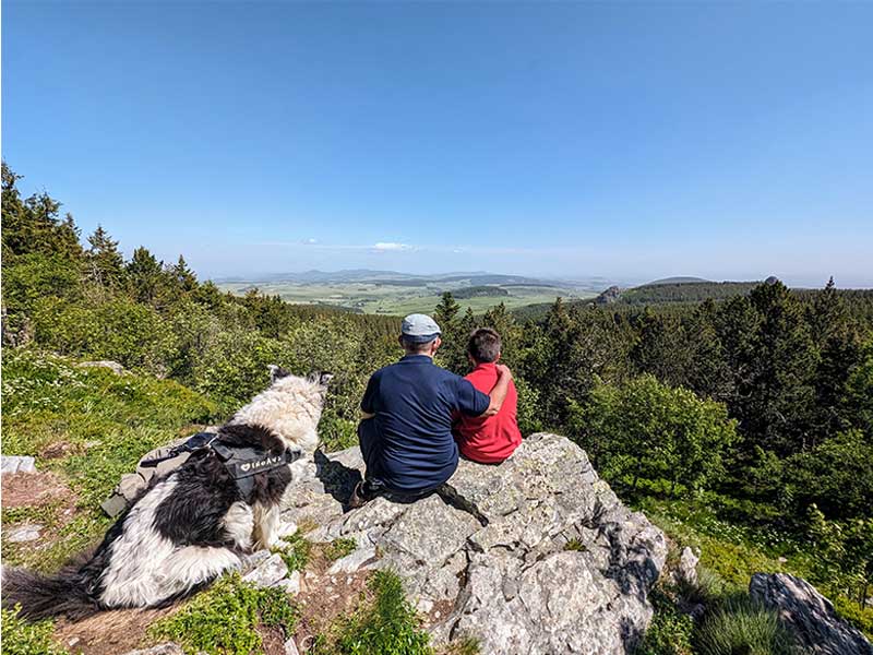 Biodiversité rare et fragile sur les hauteurs du Massif du Mézenc